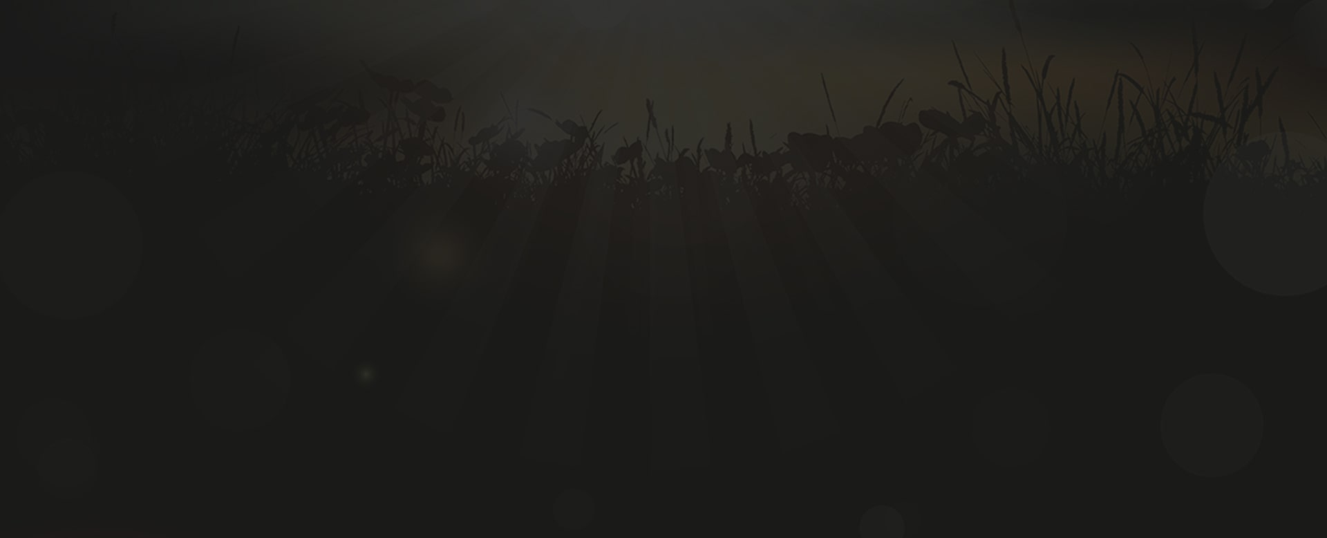 BG