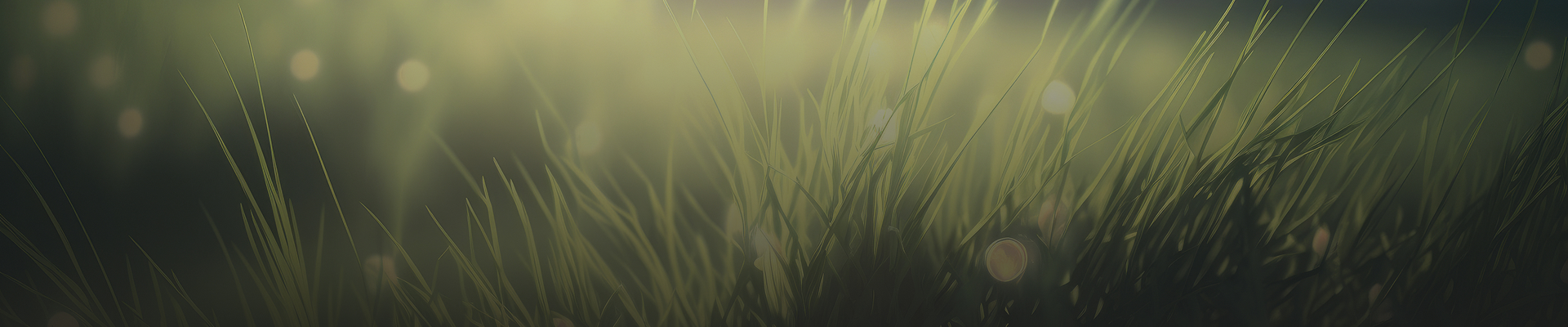 BG