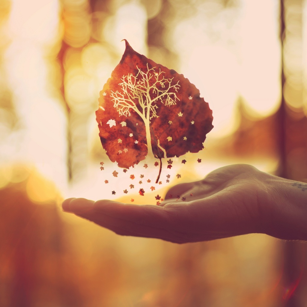 HOW TO SAVE A MARRIAGE: 5 PIECES OF ADVICE FOR EVERY DAY
