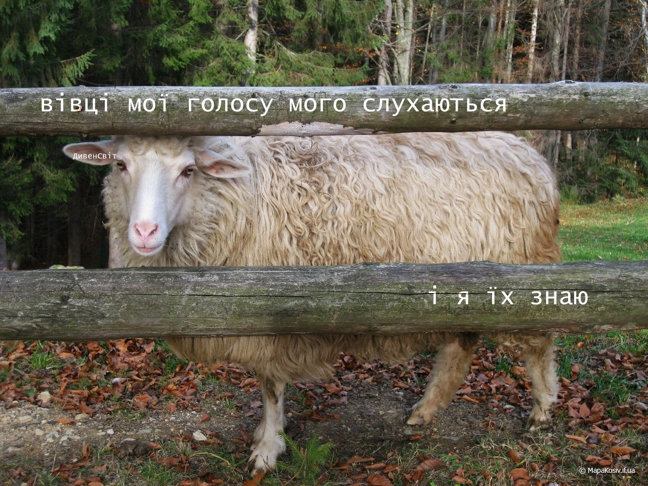 Святе Письмо з розважанням на 4 травня