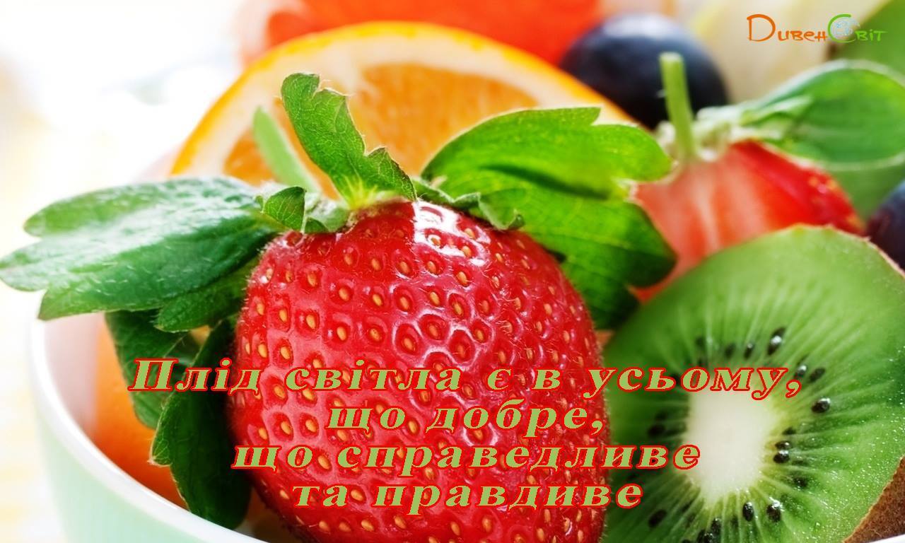 Святе Письмо з розважанням на 20 червня