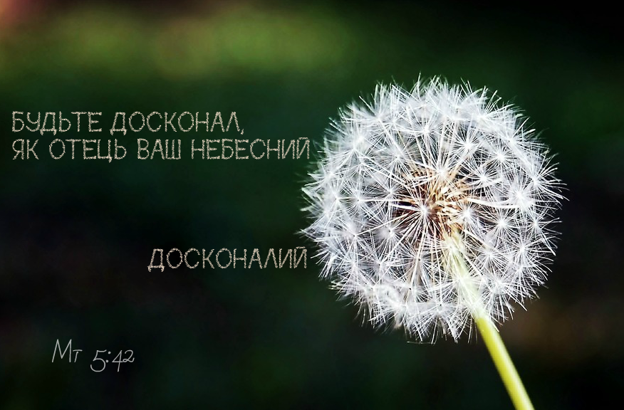 Святе Письмо з розважанням на 25 червня