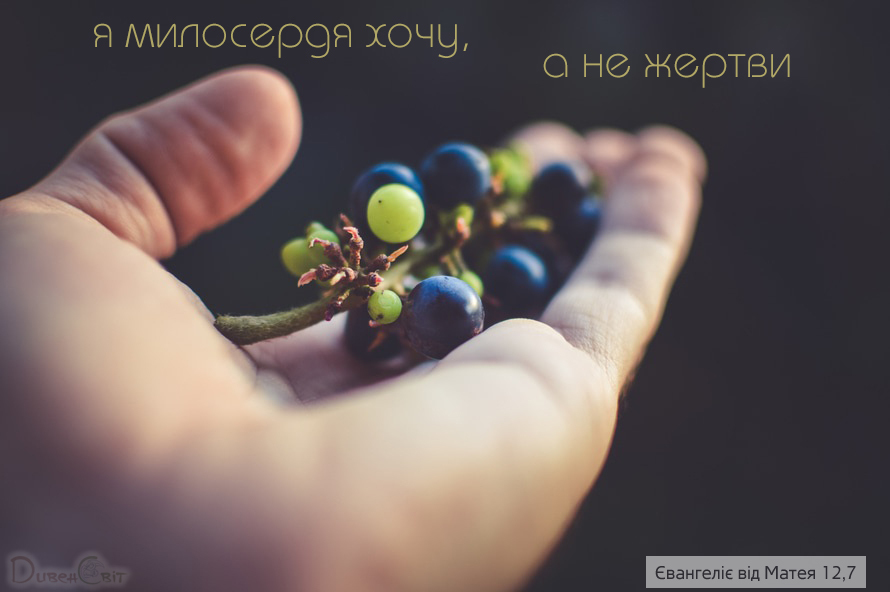 Святе Письмо з розважанням на 15 липня