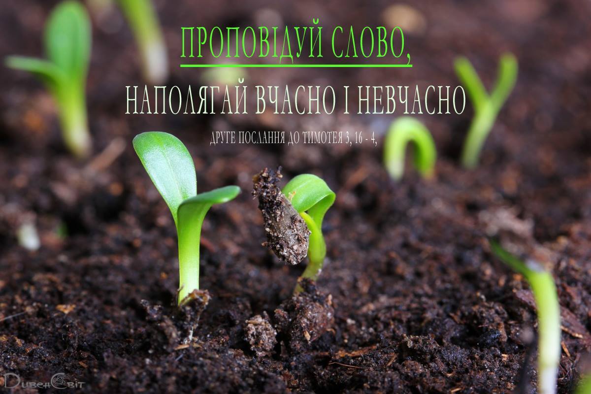 Святе Письмо з розважанням на 27 грудня