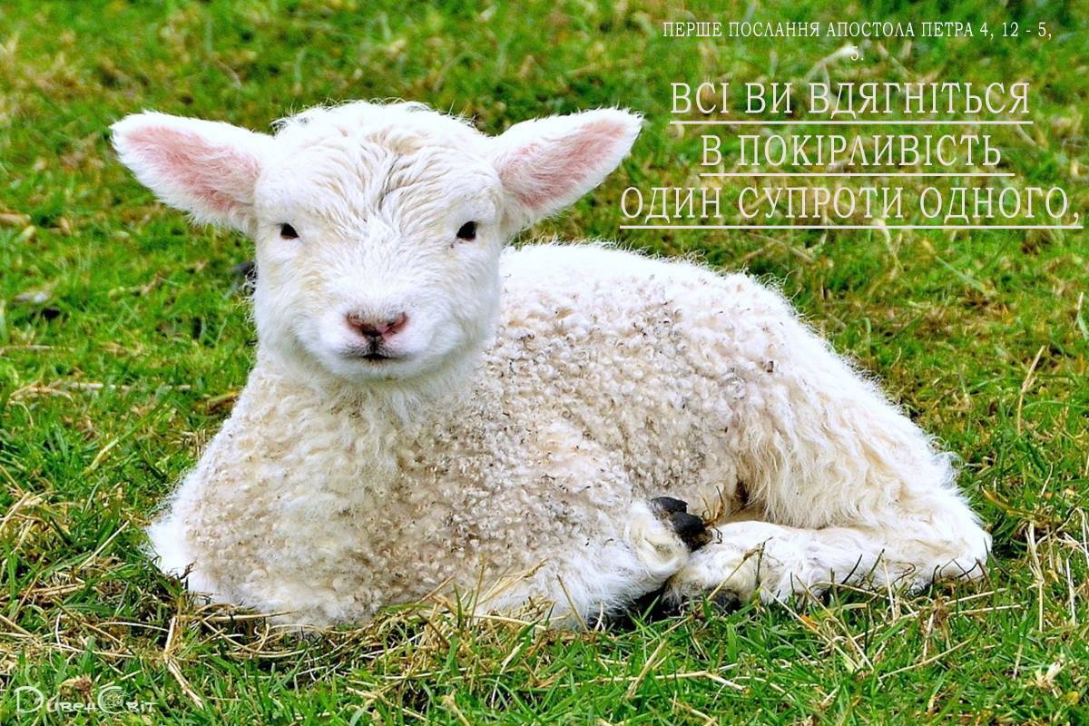 Святе Письмо з розважанням на 2 лютого