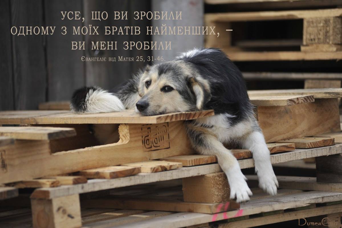 Святе Письмо з розважанням на 19 лютого