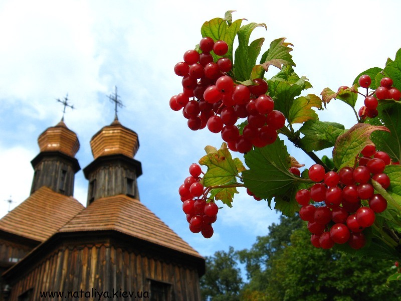 Why there is no One Church in Ukraine yet?