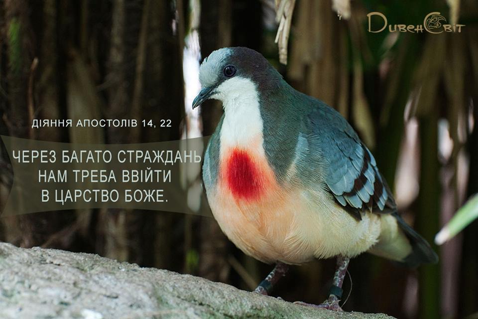 Святе Письмо з розважанням на 18 травня