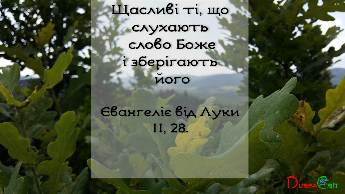 Святе Письмо з розважанннями на 15 липня