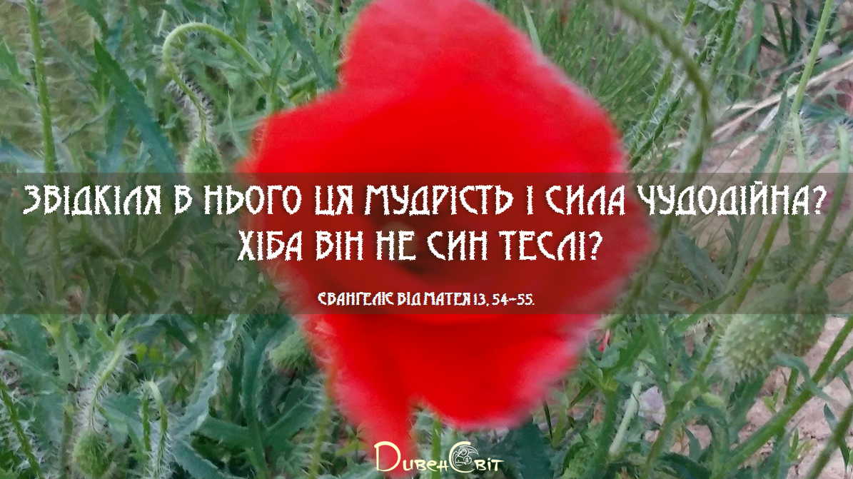 Святе Письмо з розважаннями на 17 липня