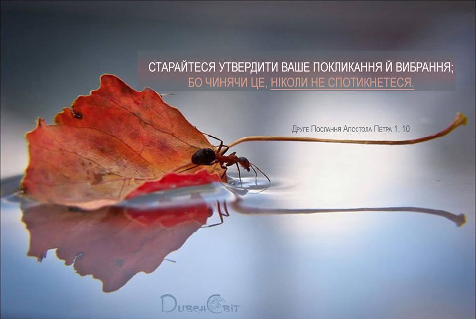 Святе Письмо з розважанням на 19 серпня