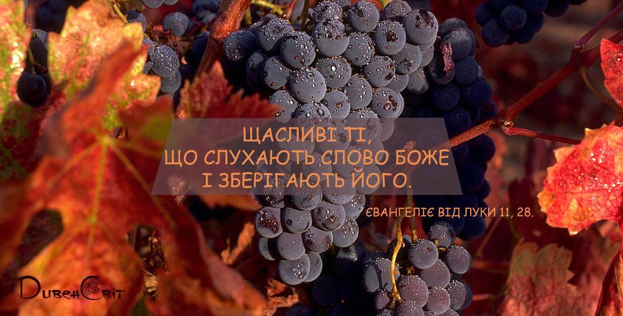 Святе Письмо з розважанням на 21 вересня
