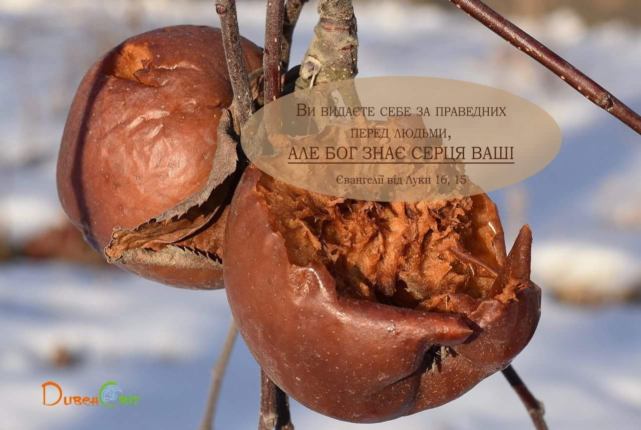 Святе Письмо з розважанням на 1 листопада