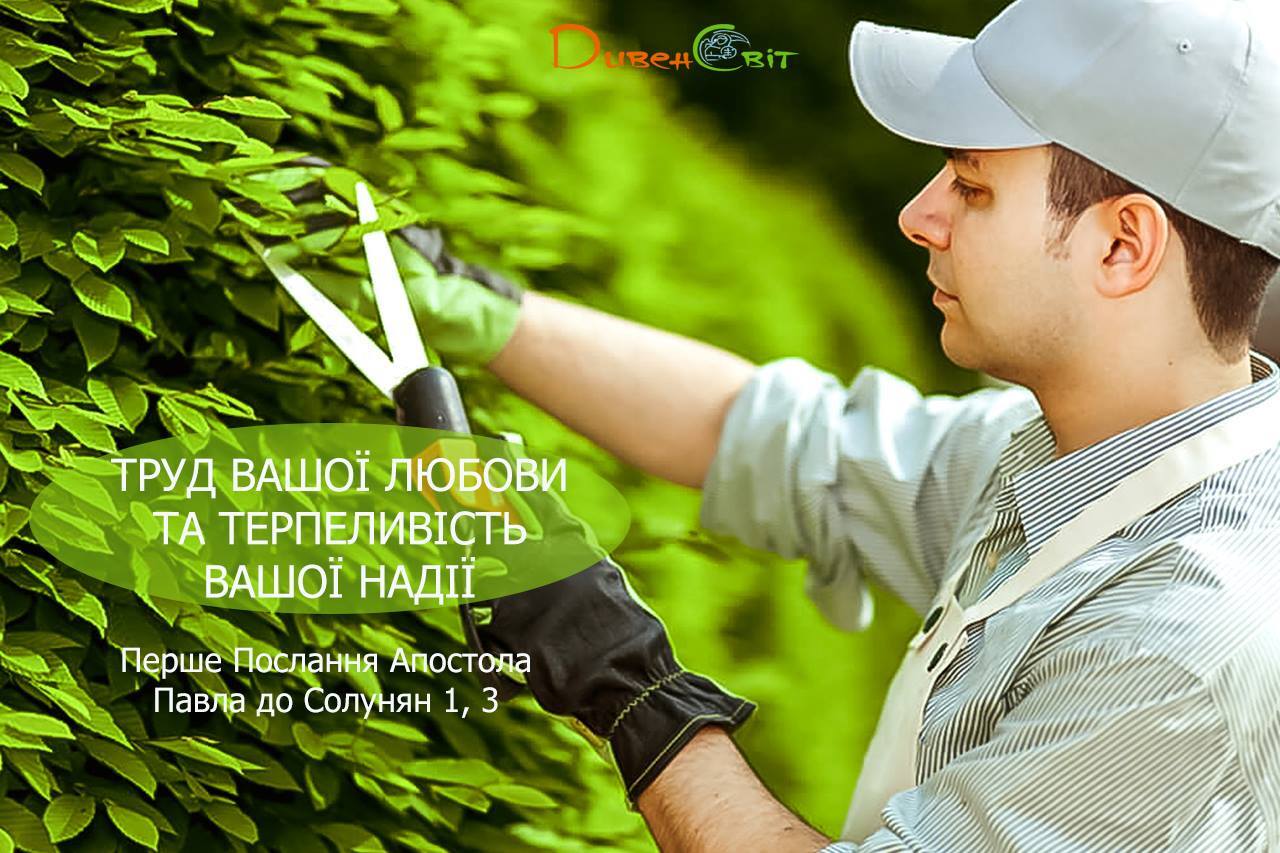 Святе Письмо з розважаннями на 6 листопада
