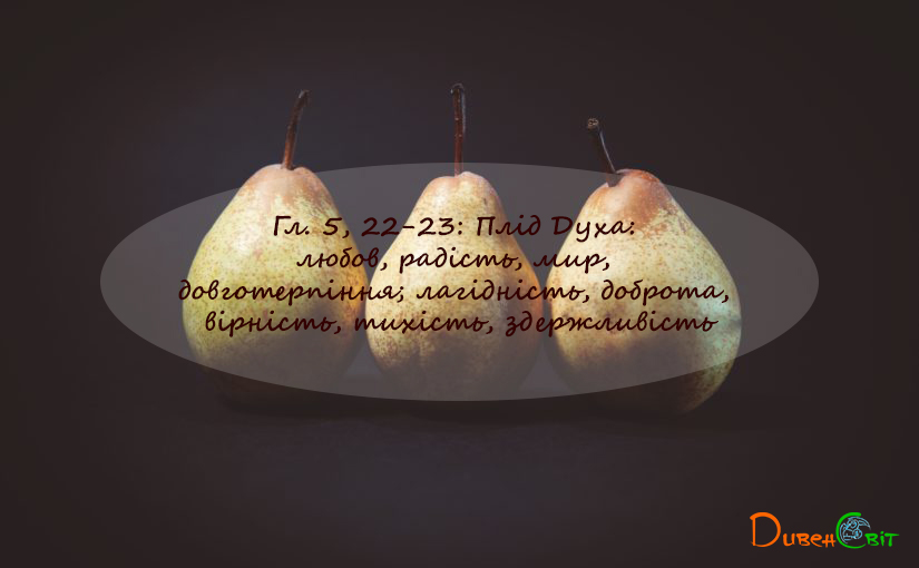 Святе Письмо з розважаннями на 9 грудня
