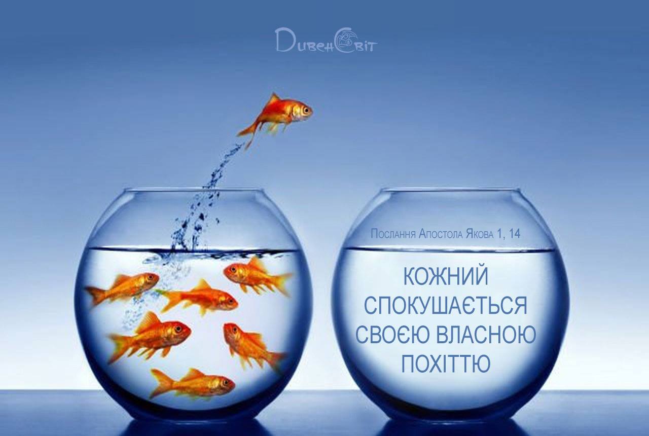 Святе Письмо з розважаннями на 10 січня