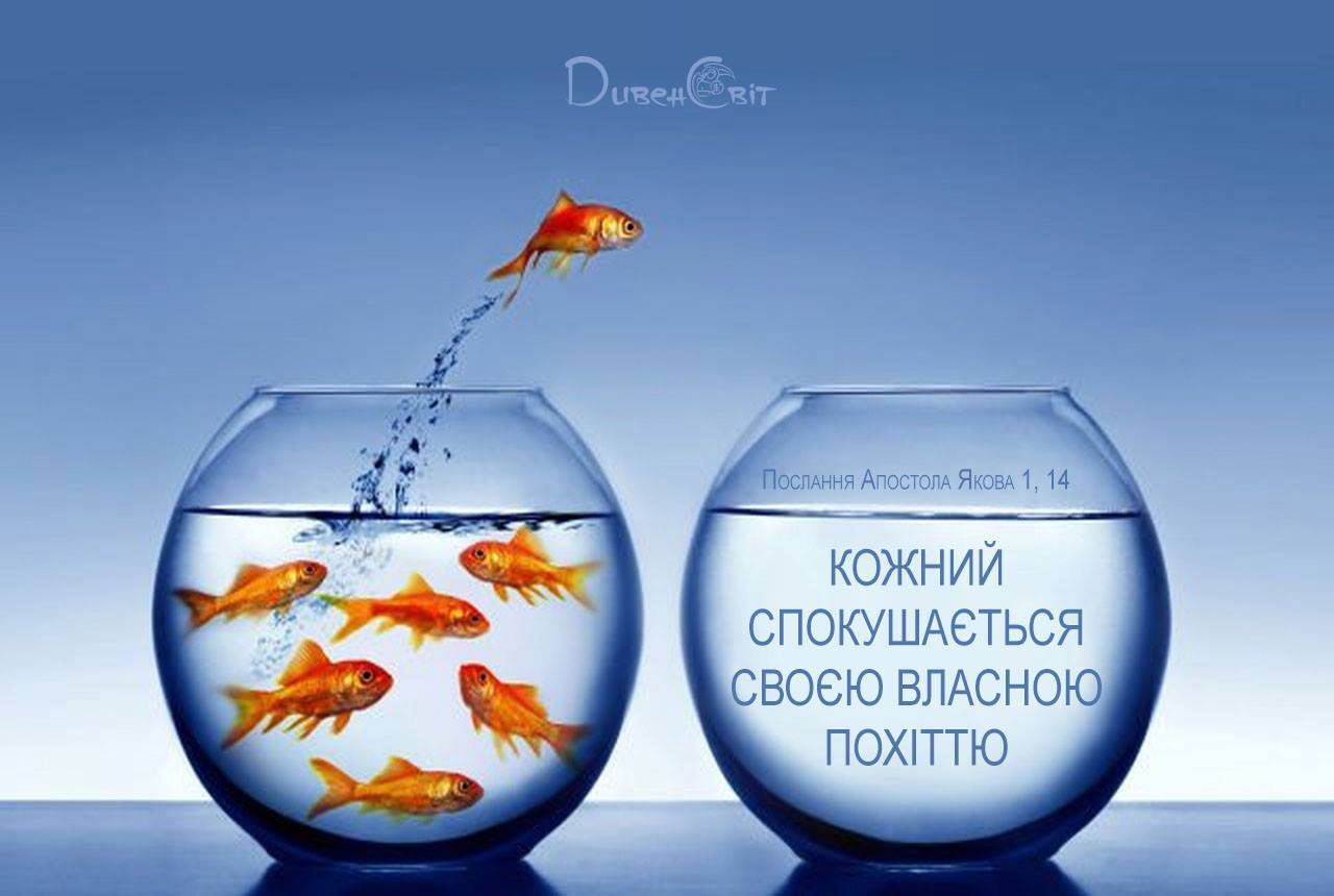 Святе Письмо з розважаннями на 10 січня