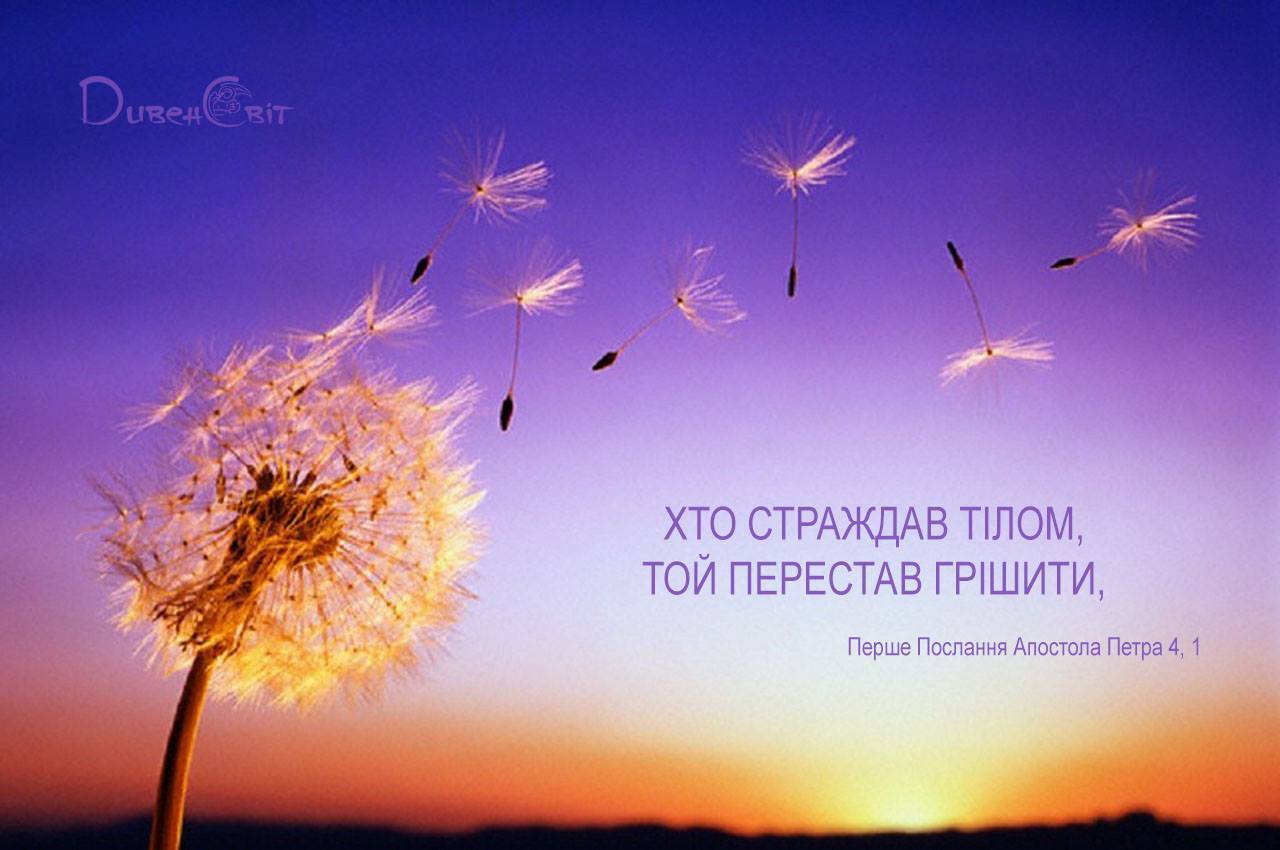 Святе Письмо з розважаннями на 24 січня