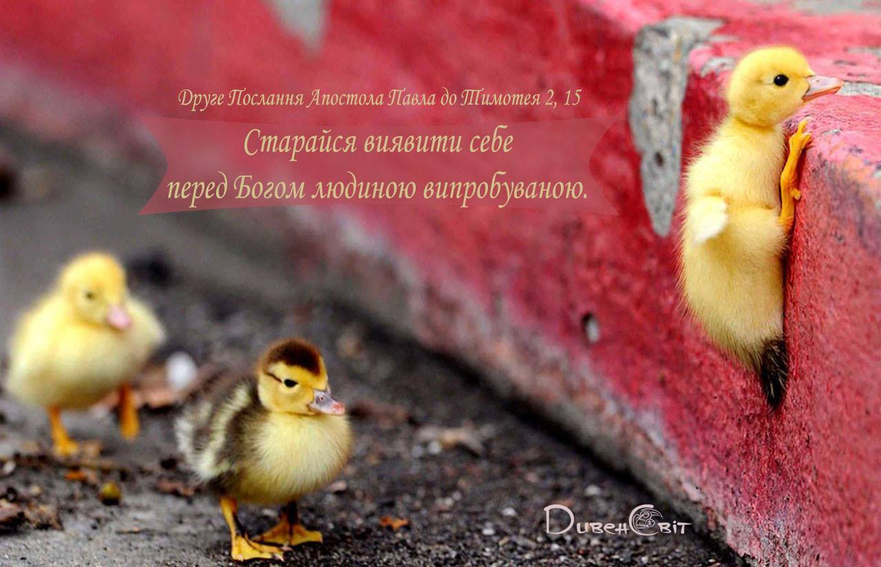 Святе Письмо з розважанням на 27 січня