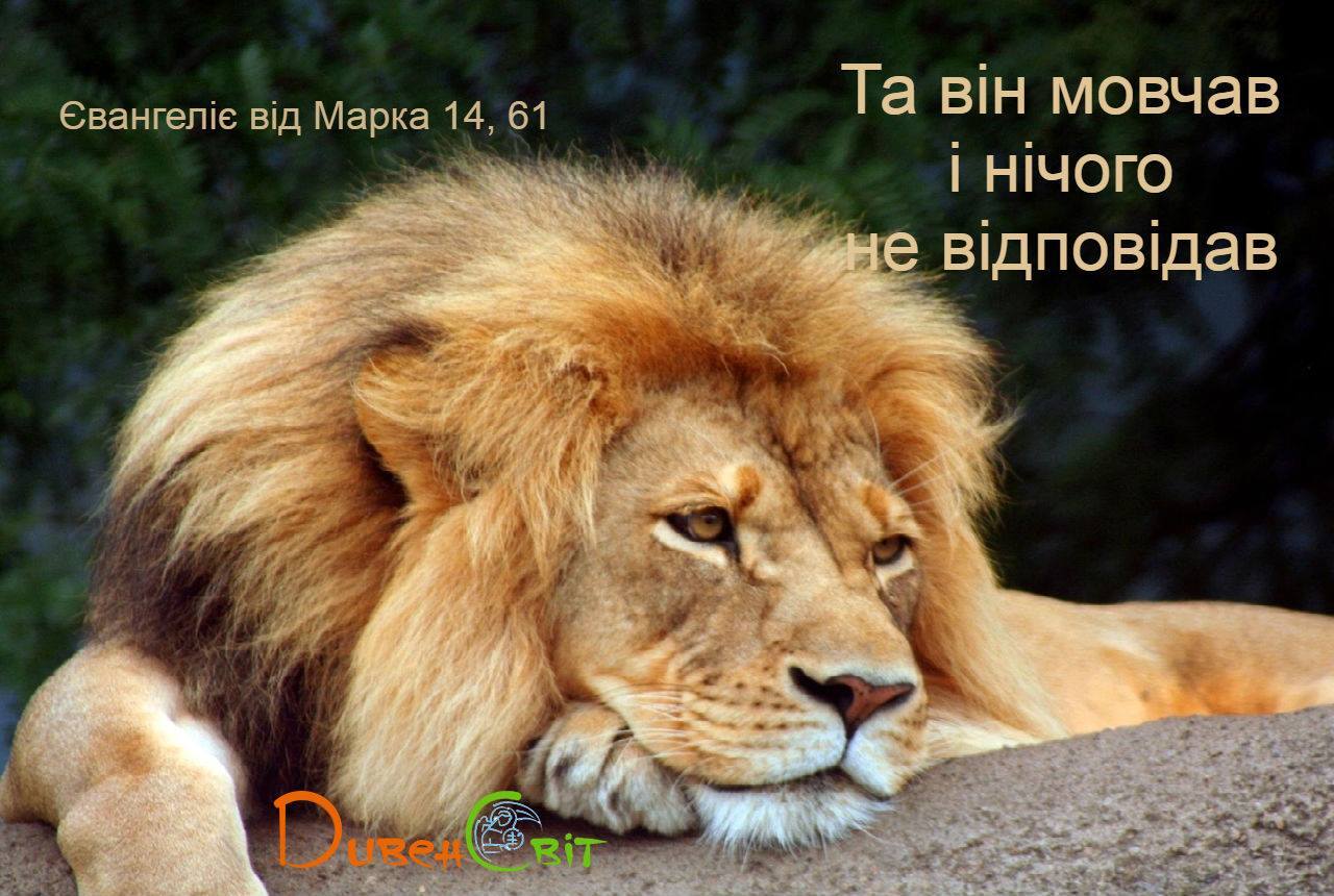 Святе Письмо з розважаннями на 7 лютого
