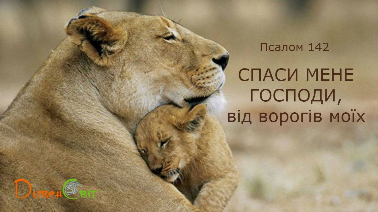 Святе Письмо з розважаннями на 3 березня