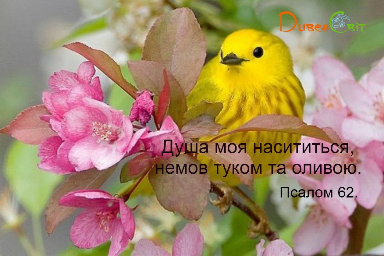 Святе Письмо з розважаннями на 7 березня