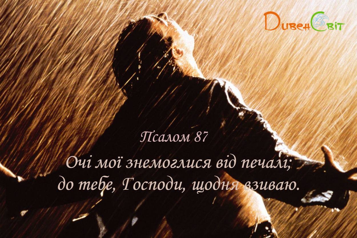 Святе Письмо з розважанням на 8 березня