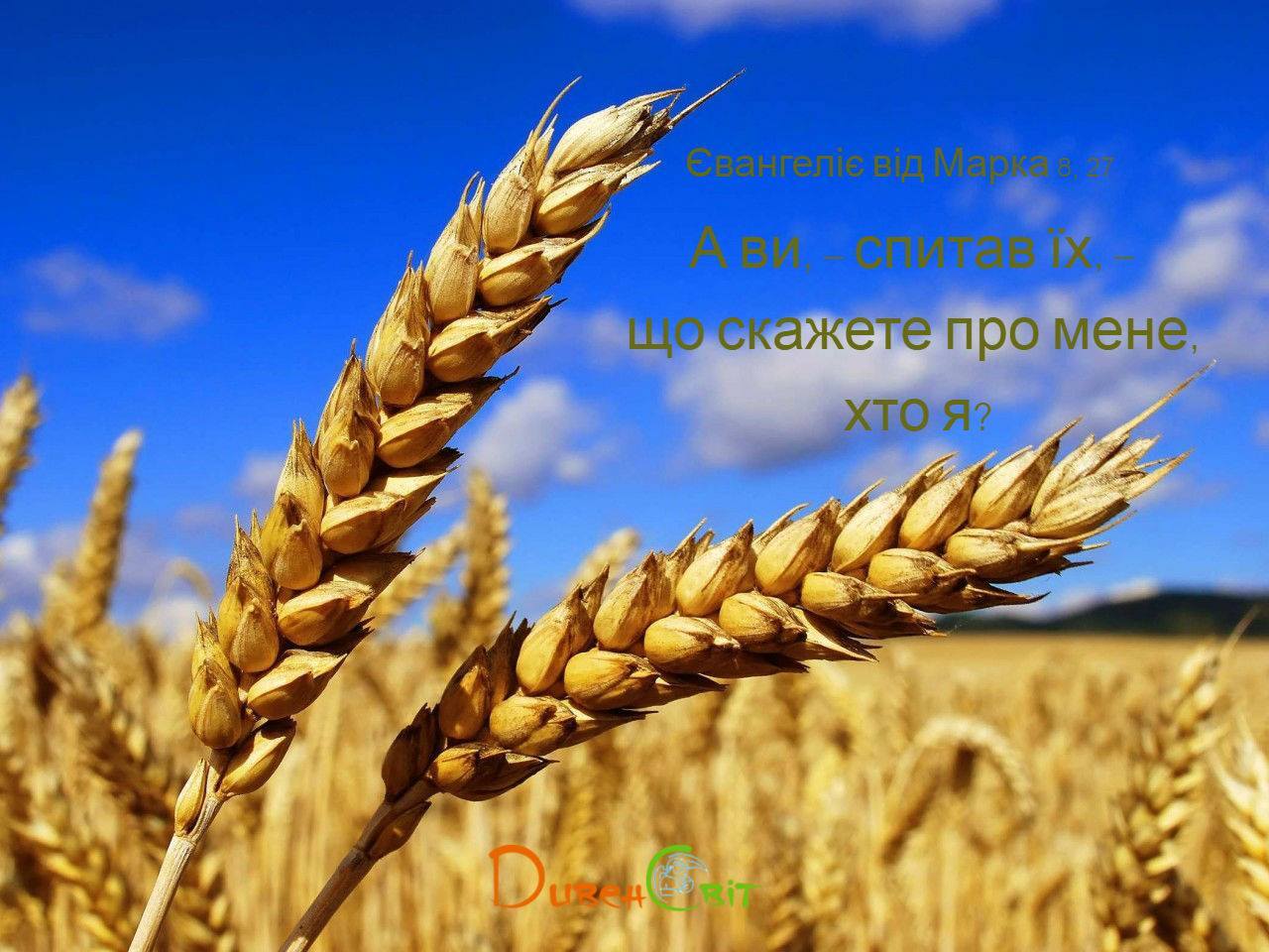 Святе Письмо з розважанням на 24 березня