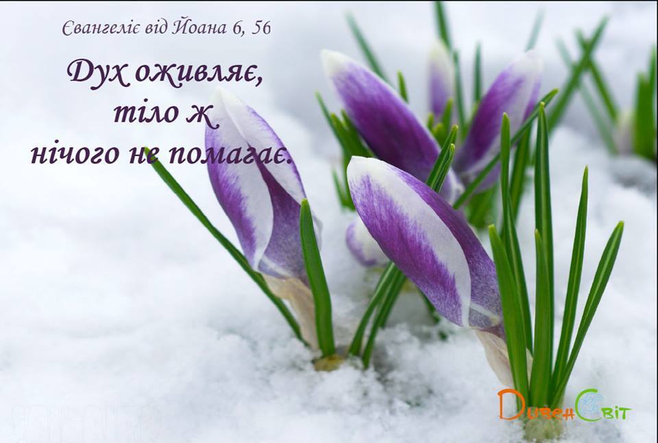 Святе Письмо з розважанням на 30 квітня