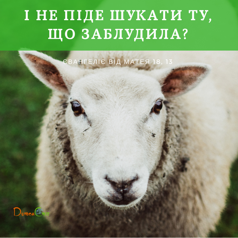 Святе Письмо з розважаннями на 28 травня