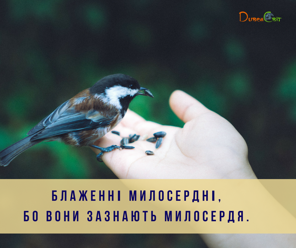 Святе Письмо з розважаннями на 29 травня