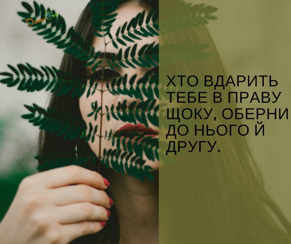 Святе Письмо з розважаннями на 1 червня