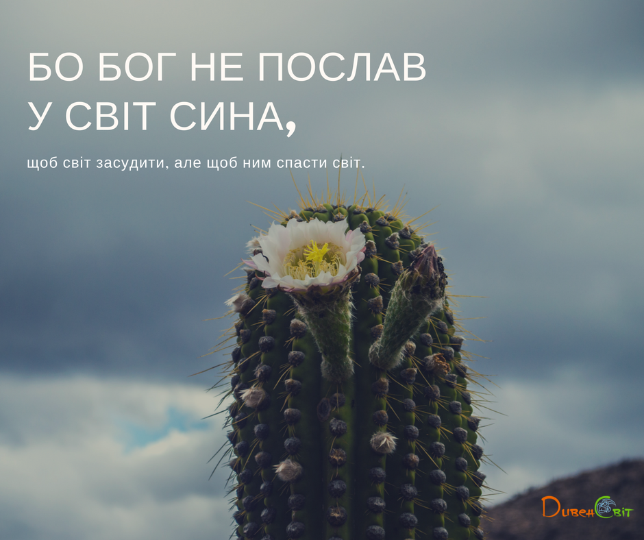 Святе Письмо з розважаннями на 15 червня