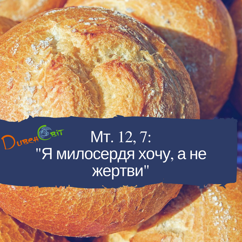 Святе Письмо з розважанням на 22 червня