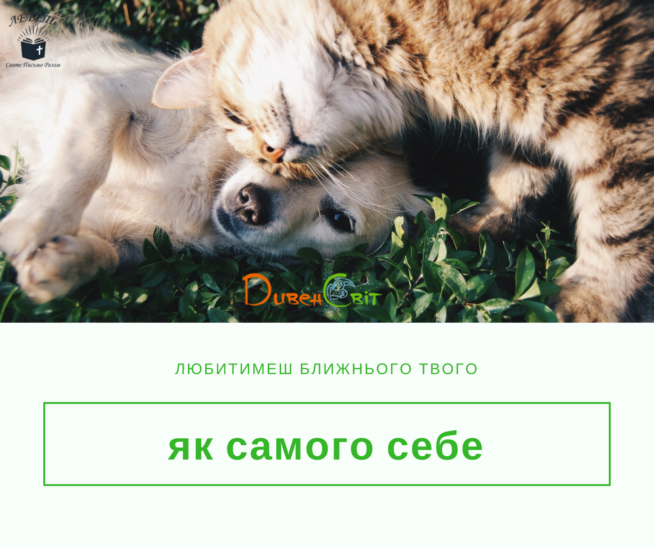 Читаємо Святе Письмо разом. Левіт 19