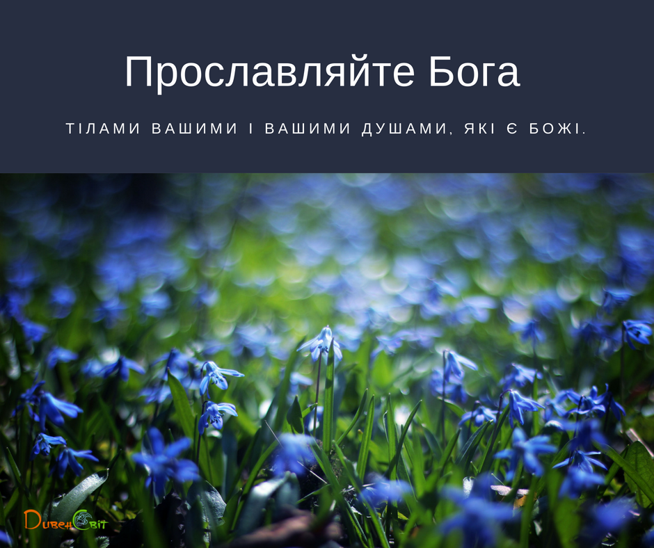 Святе Письмо з розважаннями на 10 липня