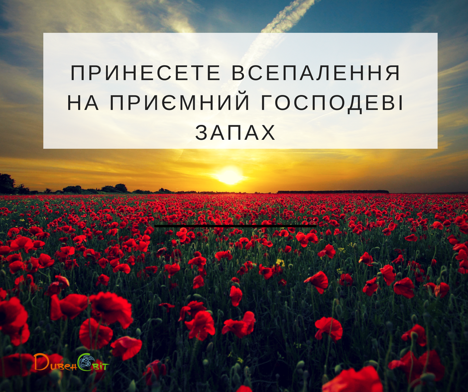 Читаємо Святе Письмо разом. Числа 28