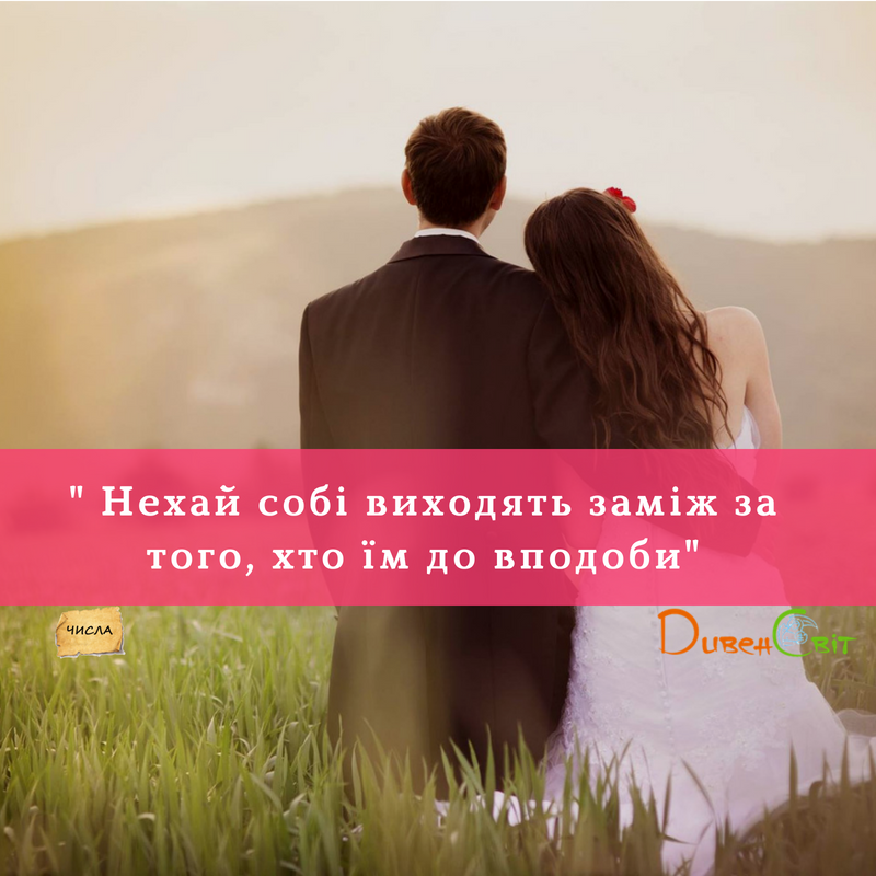 Читаємо Святе Письмо разом. Числа 36