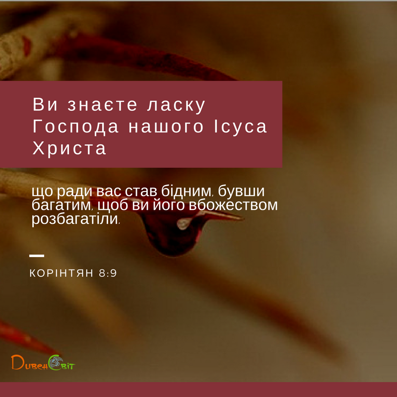 Святе Письмо з розважанням на 20 серпня