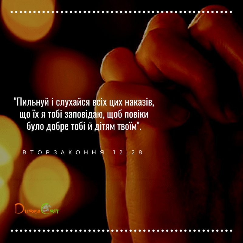 Читаємо Святе Письмо разом. Вторзаконня 12