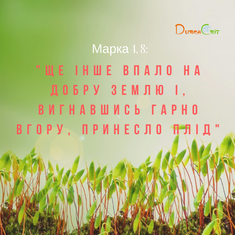 Святе Письмо з розважанням на 24 серпня