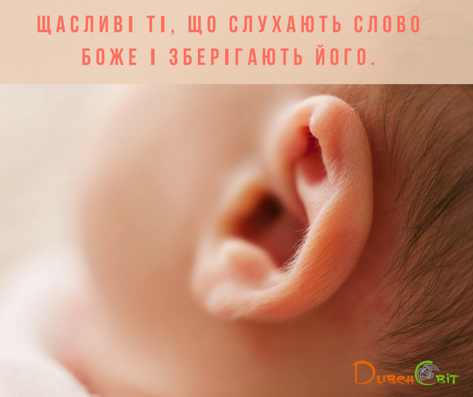 Святе Письмо з розважаннями на 28 серпня