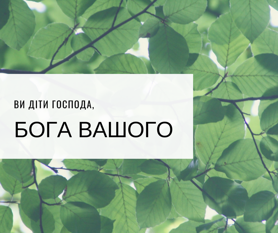 Читаємо Святе Письмо разом. Второзаконня 14