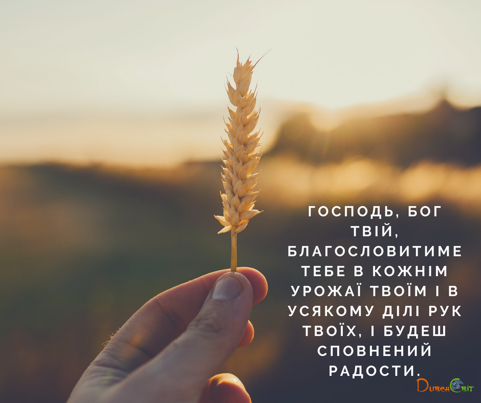 Читаємо Святе Письмо разом. Второзаконня 16