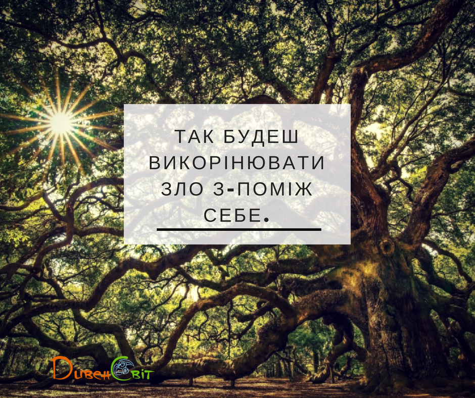 Читаємо Святе Письмо разом. Второзаконня 19
