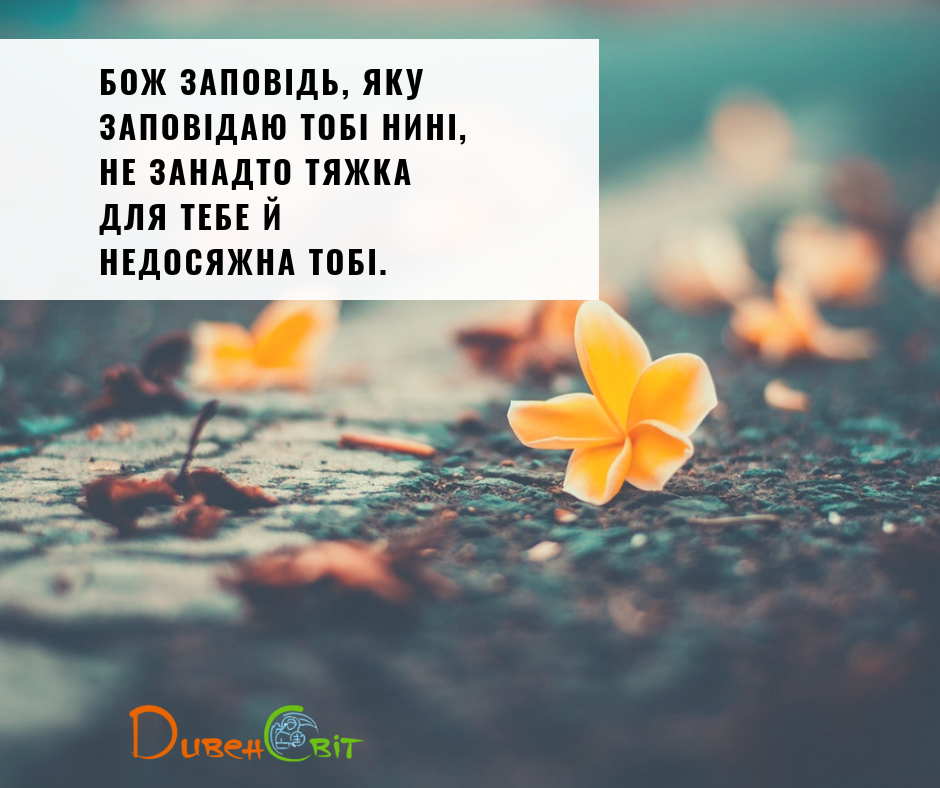 Читаємо Святе Письмо разом. Второзаконня 30