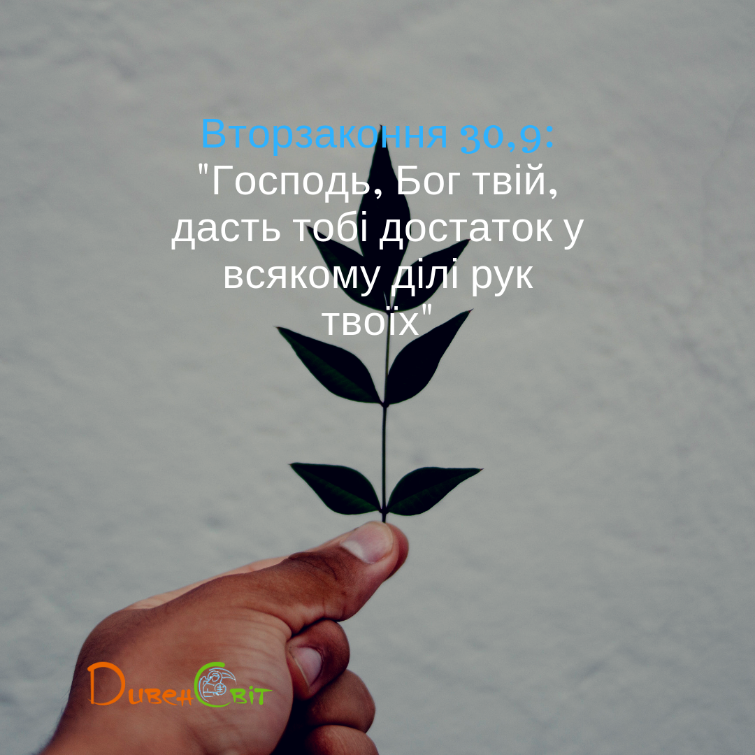 Читаємо Святе Письмо разом. Вторзаконня 30