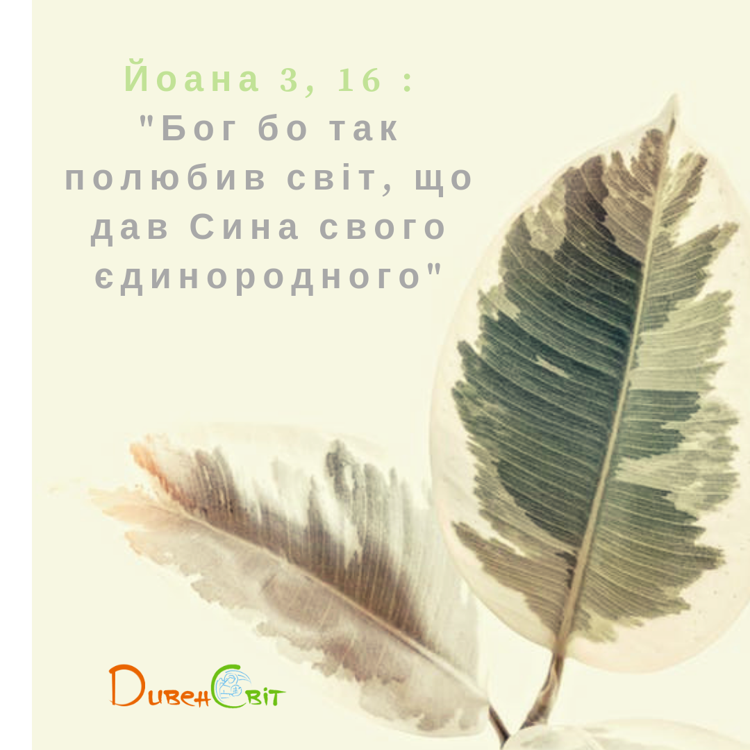 Святе Письмо з розважанням на 23 вересня