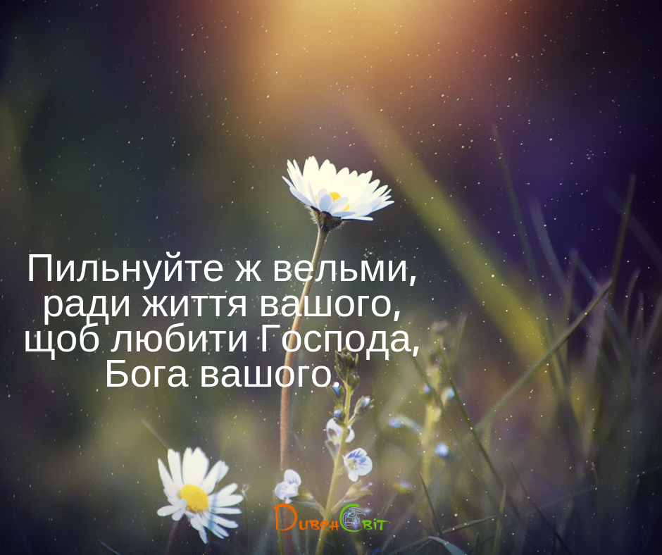 Читаємо Святе Письмо разом. Ісуса Навина 23