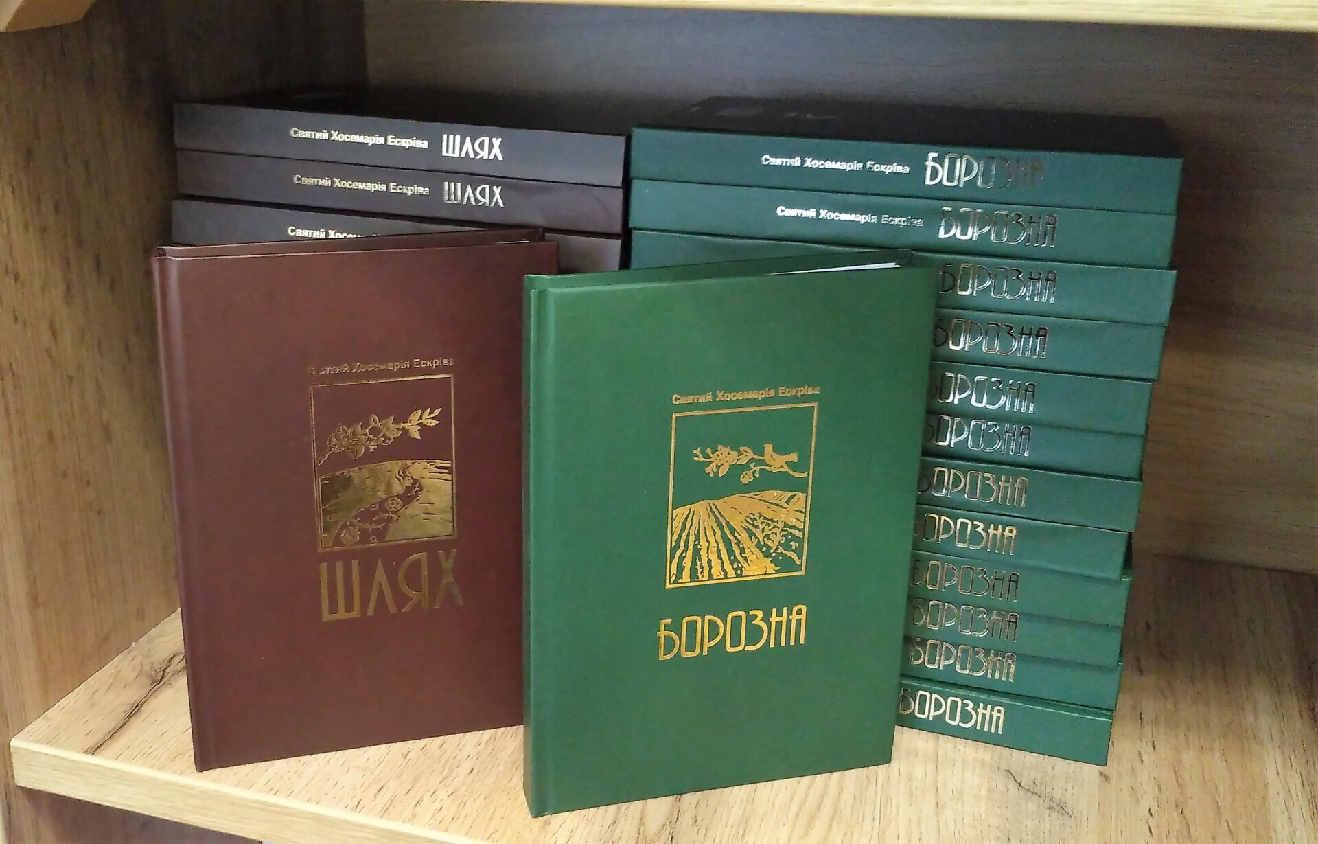 Книга не тільки для інтелектуального читання